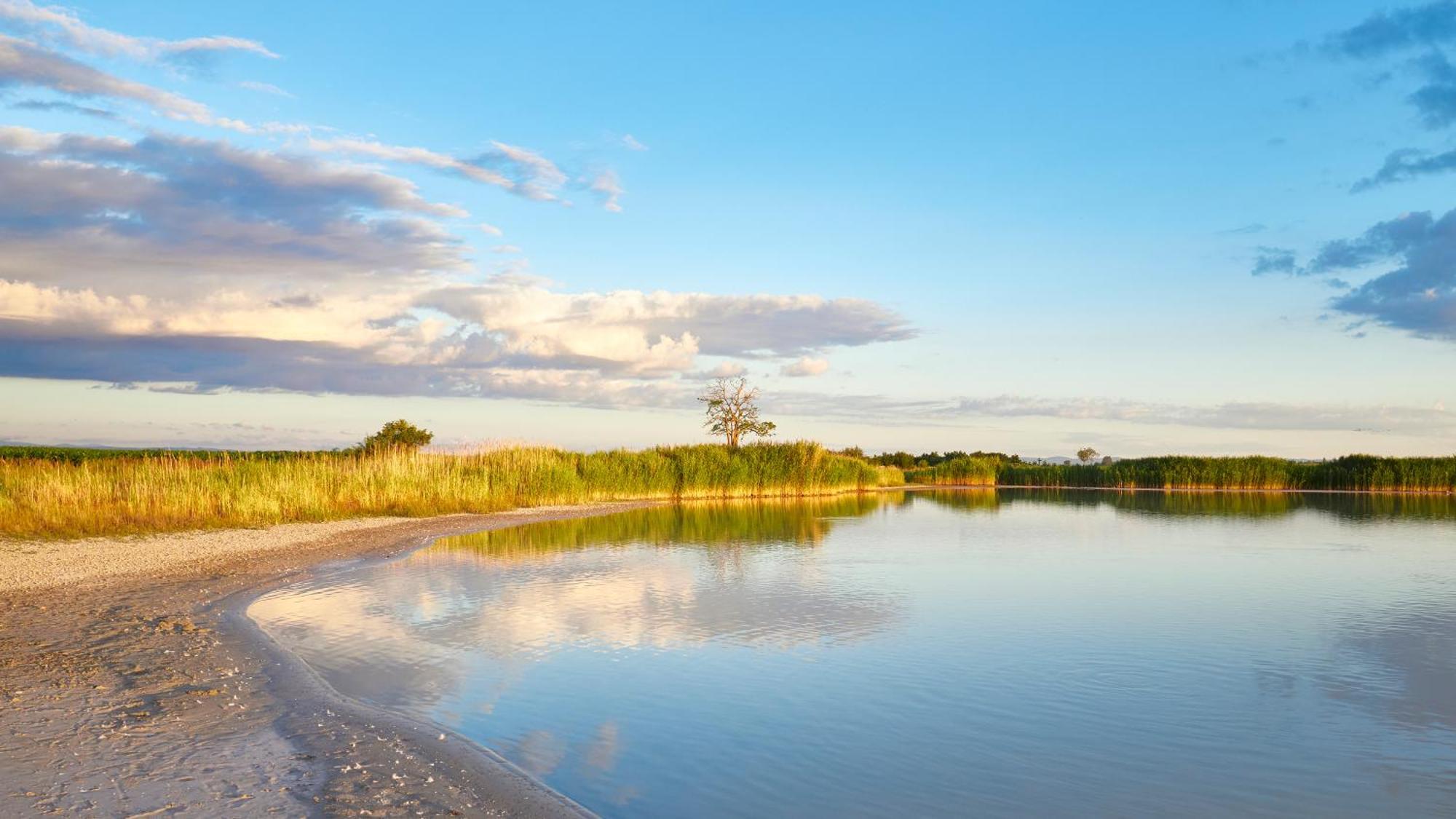Pannonia Apartments Mörbisch am See Zewnętrze zdjęcie