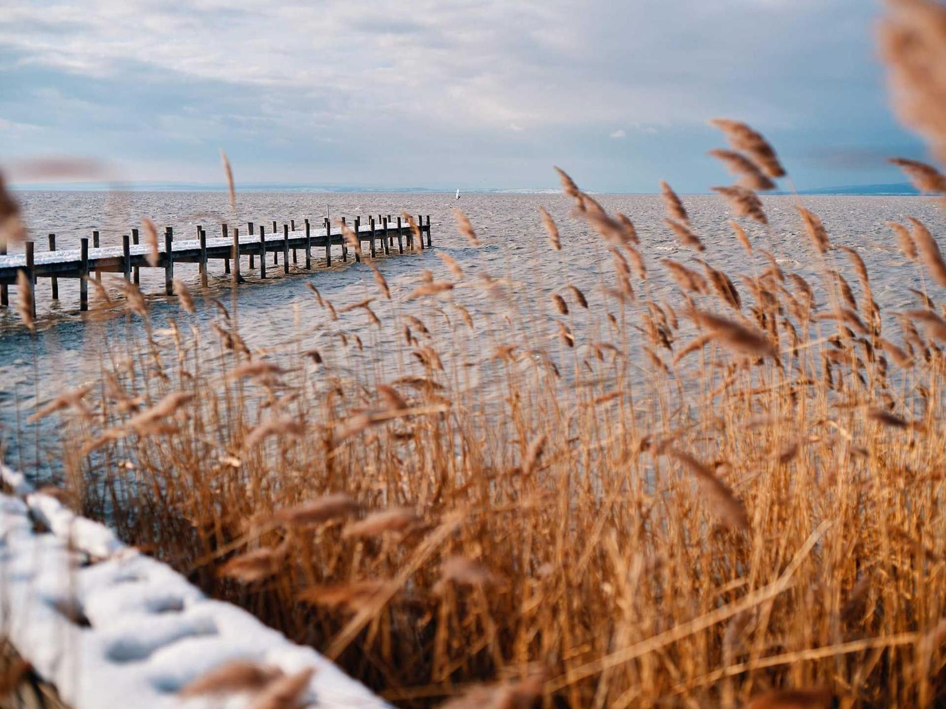 Pannonia Apartments Mörbisch am See Zewnętrze zdjęcie